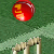 Play Cricket